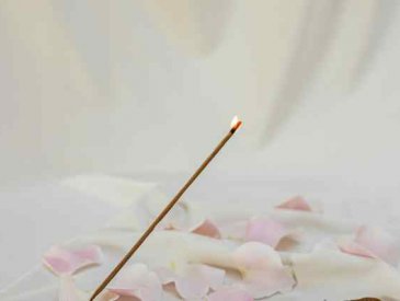 Purifica��o de Ambientes |Joice