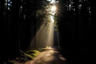 Desbloqueio de Caminhos |Solange