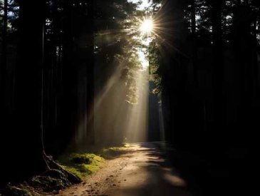 Desbloqueio de Caminhos |Solange